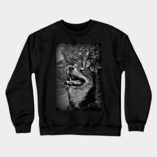 Jasper Crewneck Sweatshirt